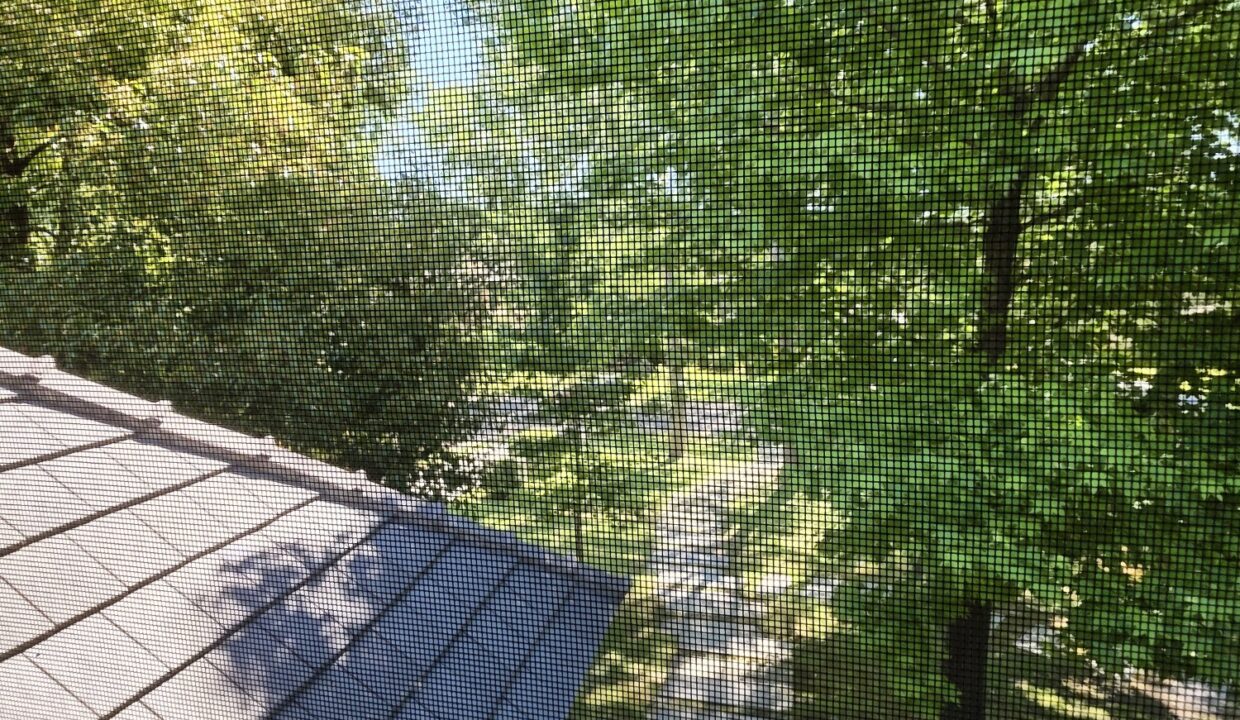 20251113_150843_resized