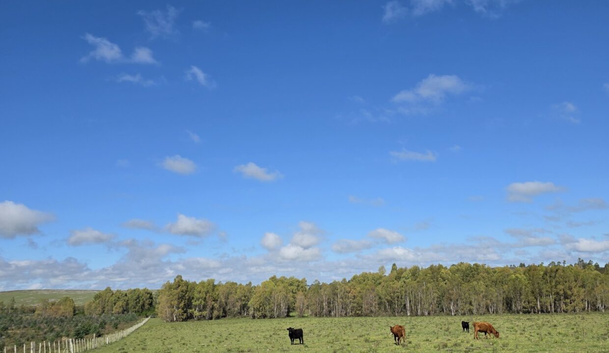 20260424_112605_resized