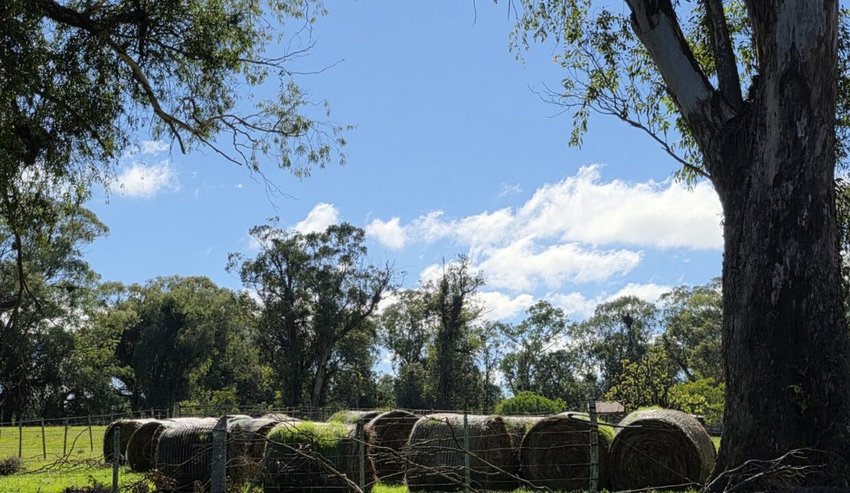 20260424_113544_resized