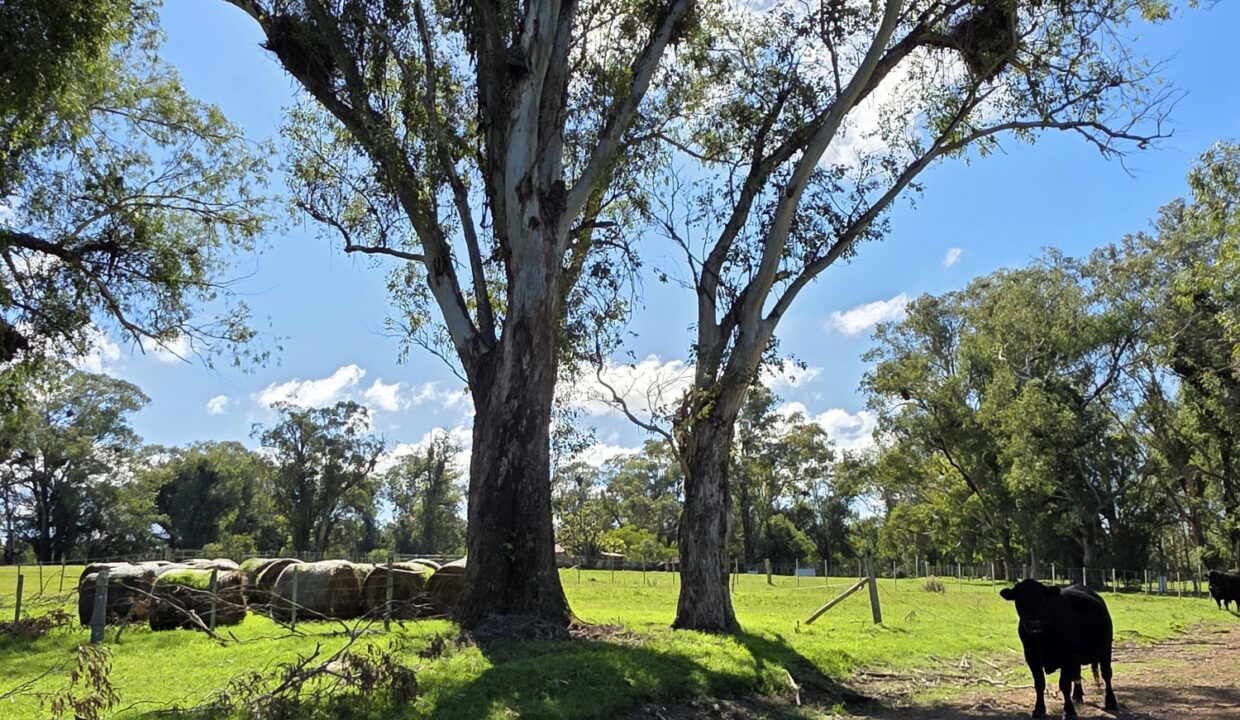 20260424_113612_resized