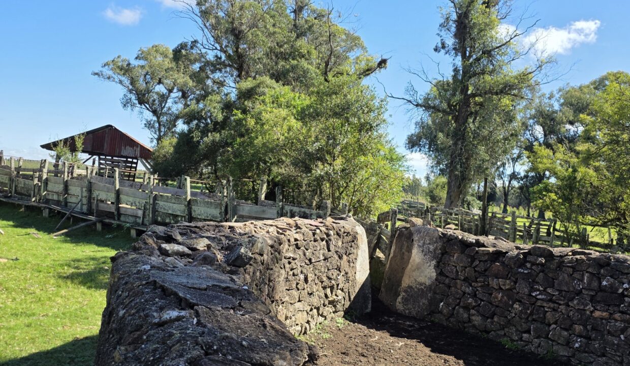 20260424_114104_resized