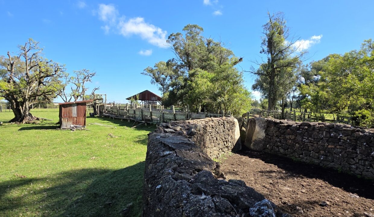 20260424_114111_resized