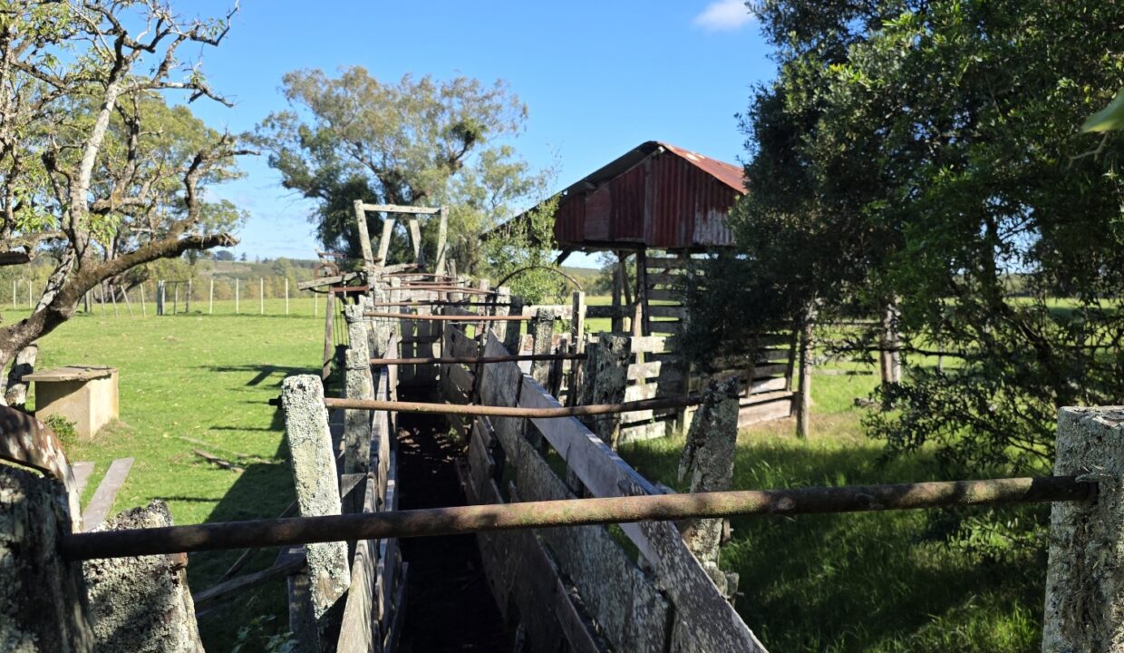 20260424_114241_resized