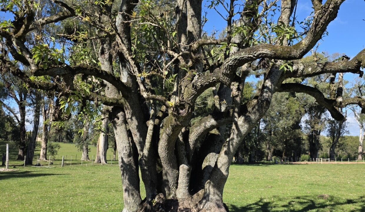 20260424_114345_resized