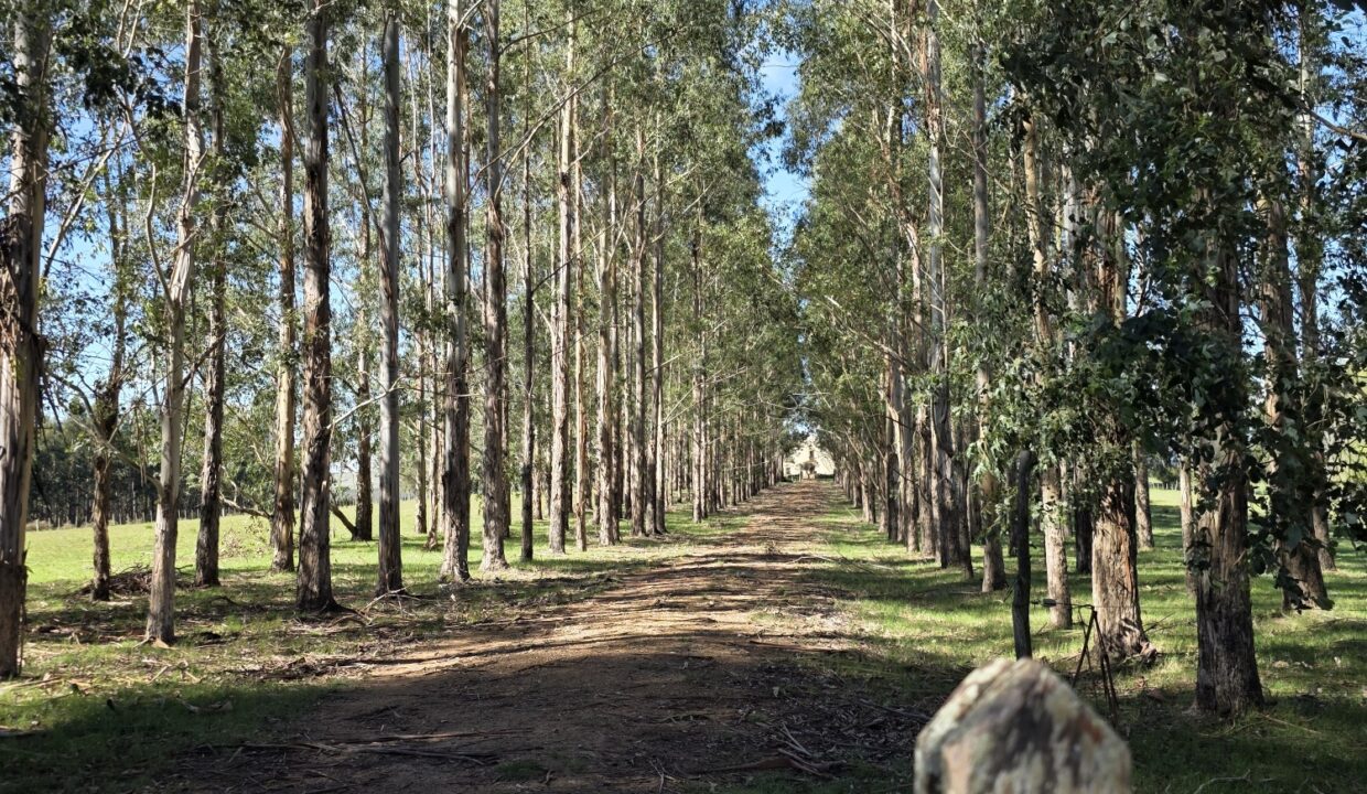 20260424_114521_resized