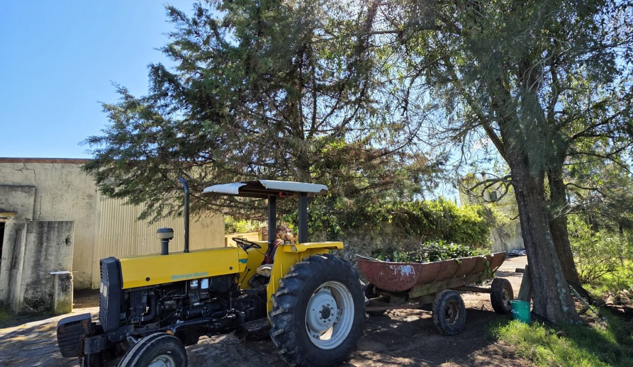 20260424_120321_resized