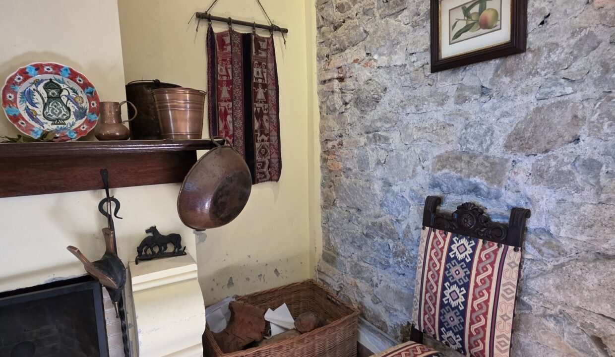 20260424_124023_resized