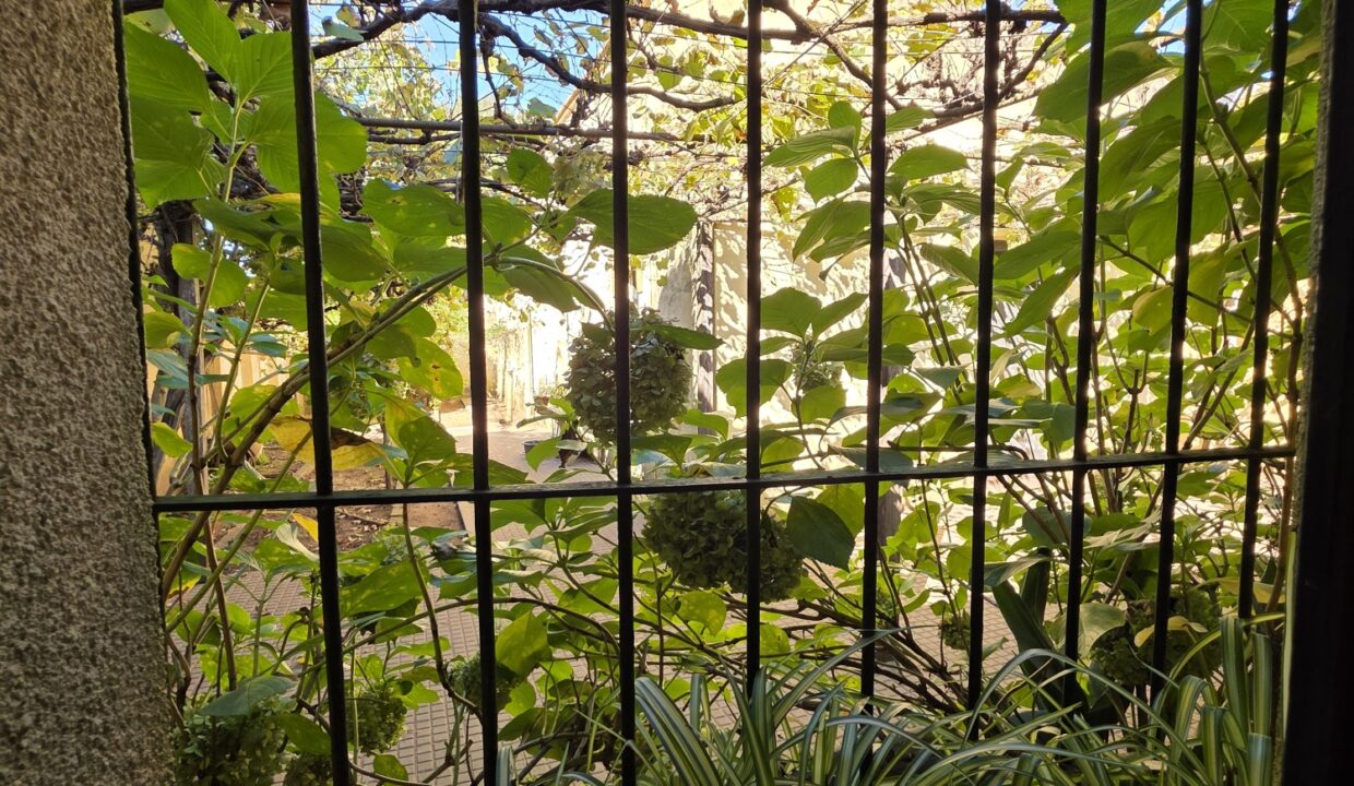 20260424_124707_resized