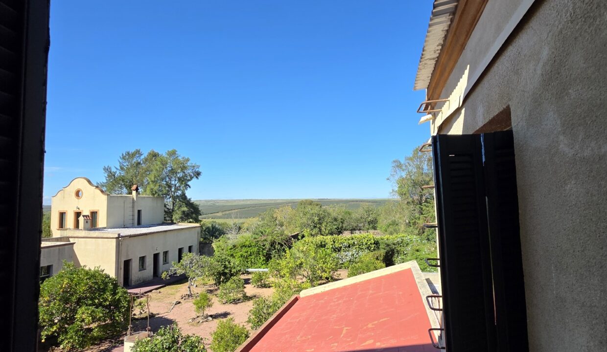 20260424_125641_resized