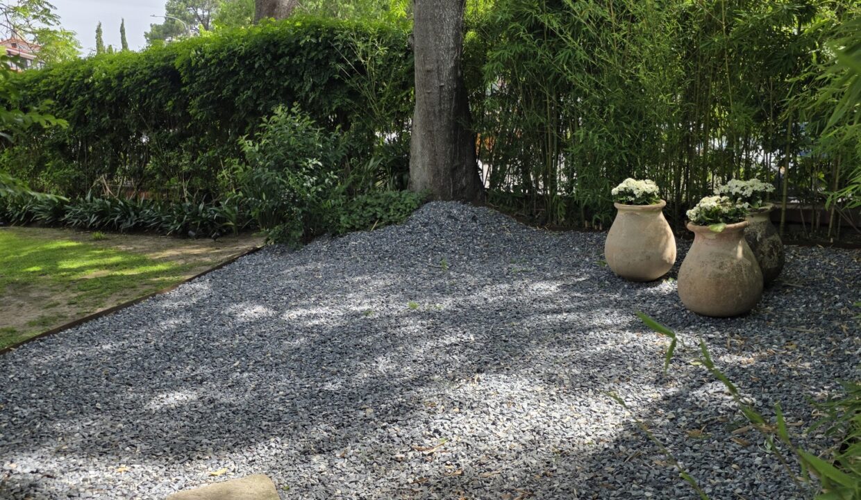 20251127_150326_resized