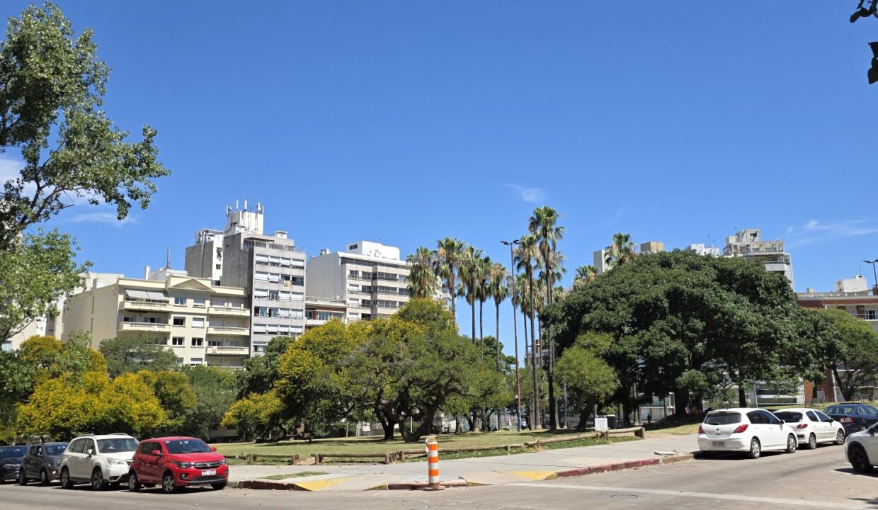 20251229_143231_resized