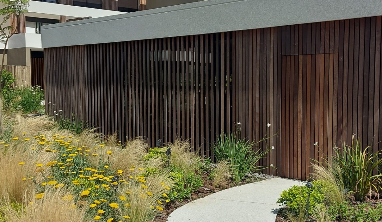 20231226_150022_resized