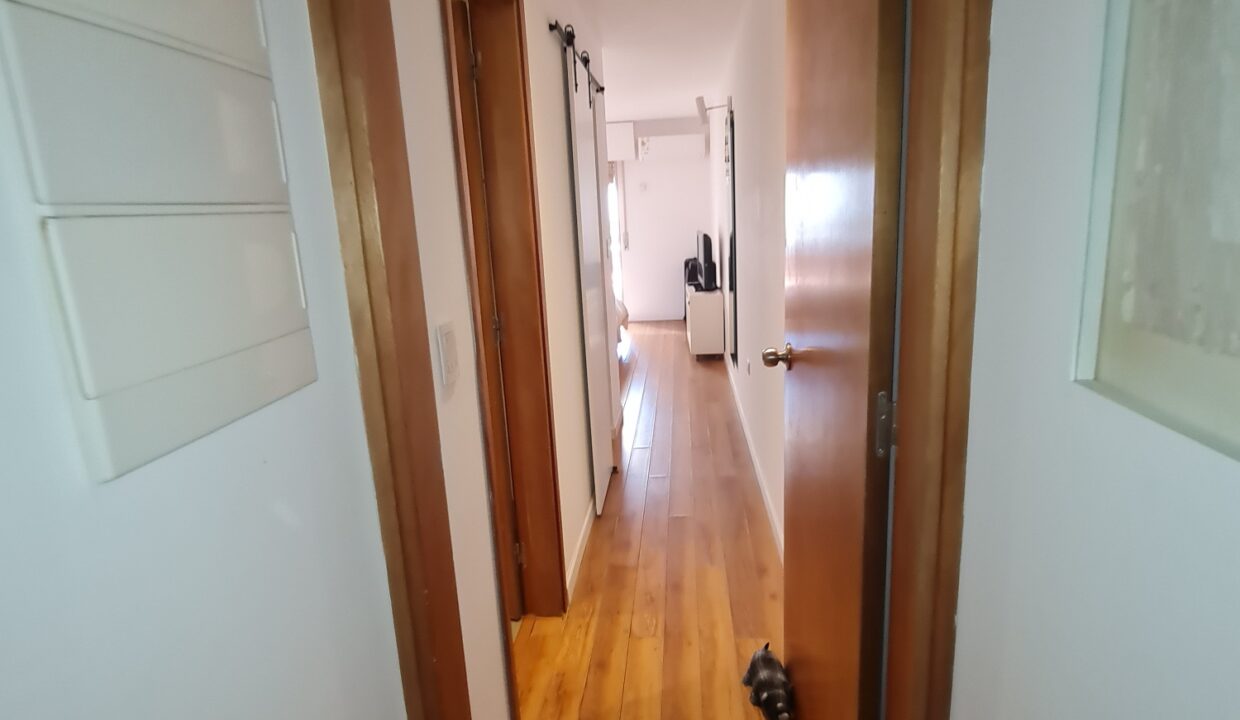 20250305_144432_resized