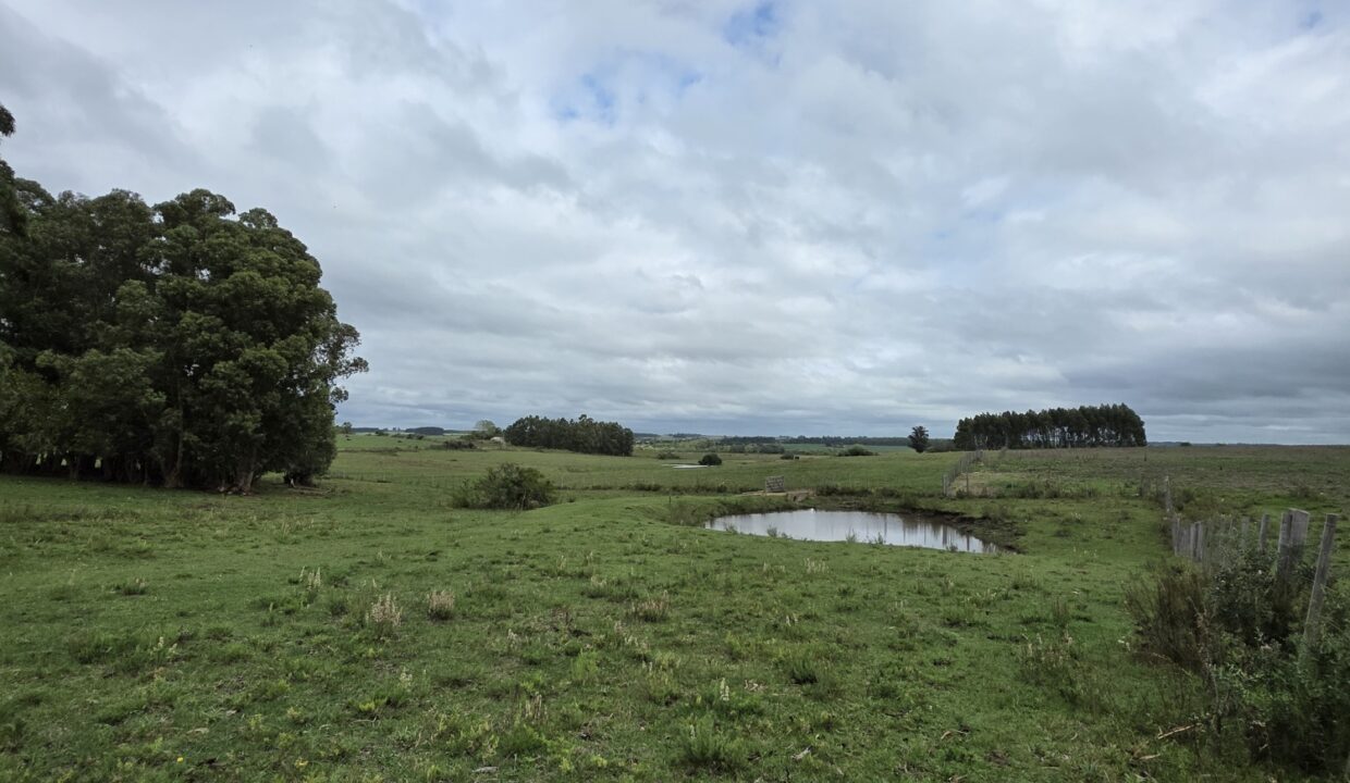 20260330_111152_resized