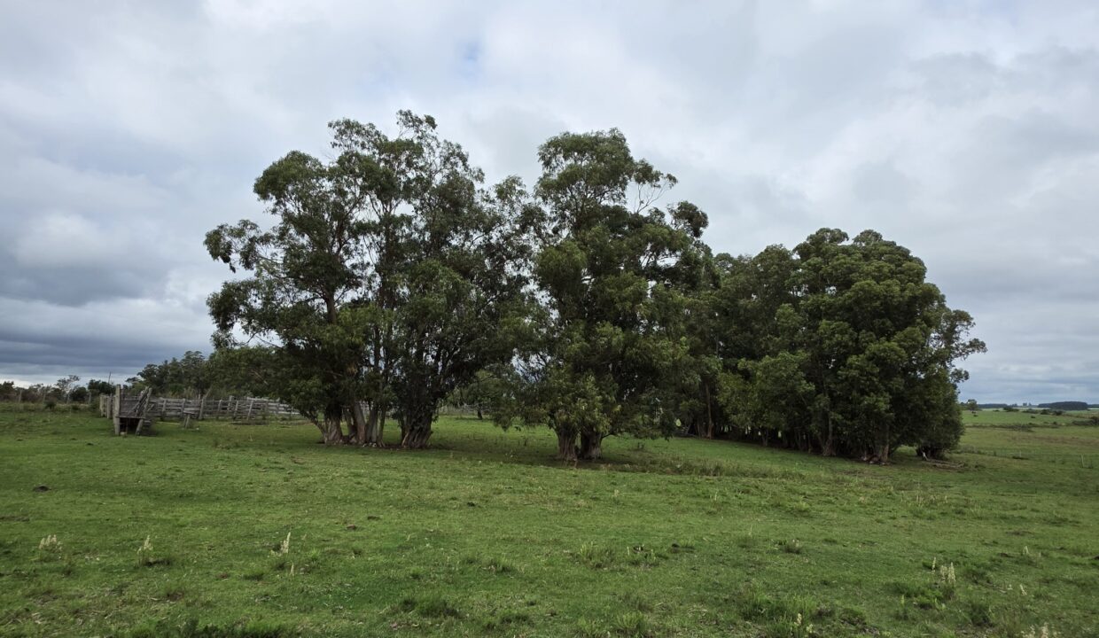 20260330_111208_resized