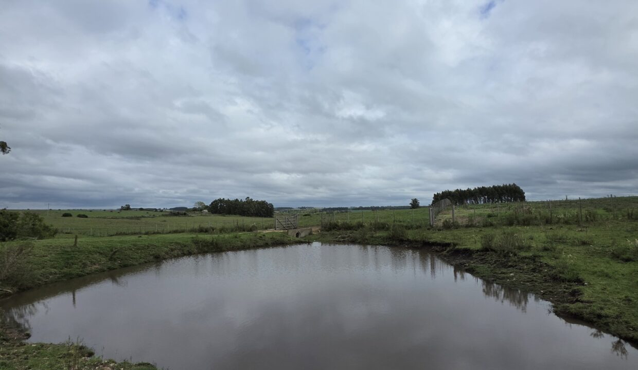 20260330_111309_resized