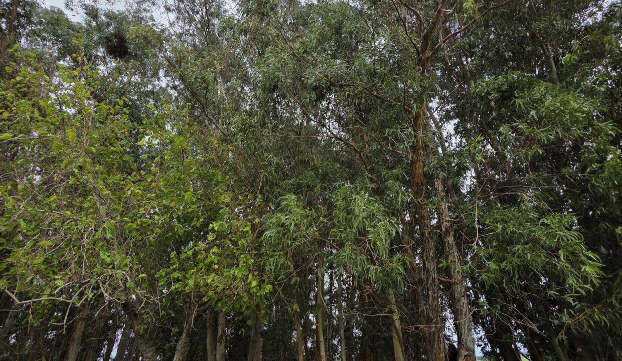 20260330_111414_resized