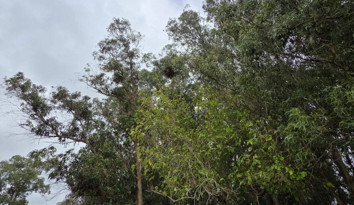 20260330_111417_resized