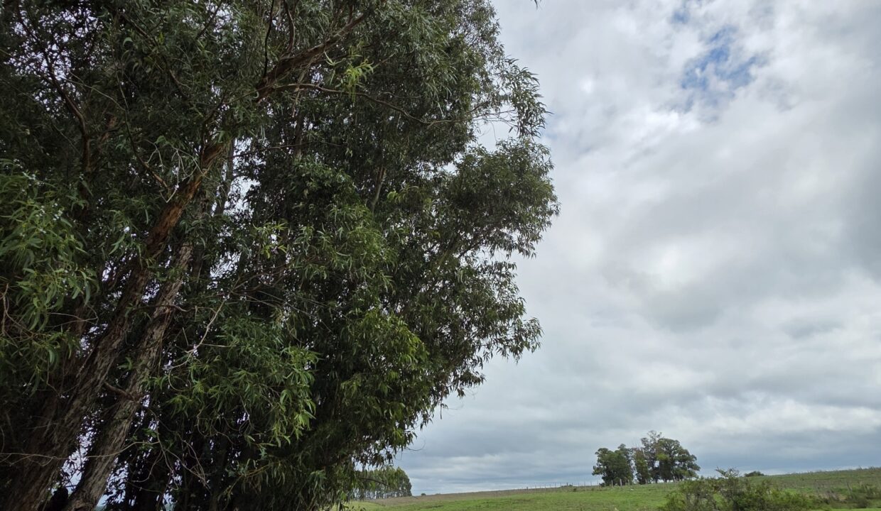 20260330_111420_resized