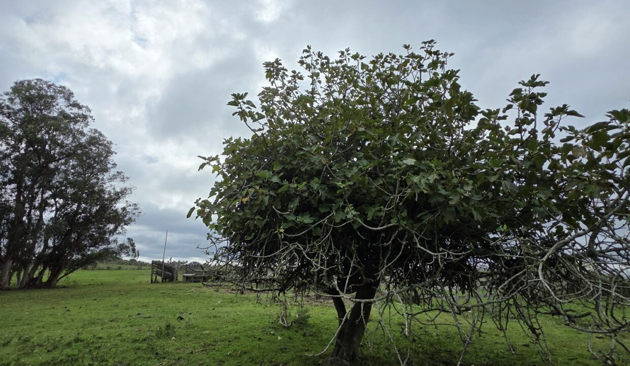 20260330_111453_resized