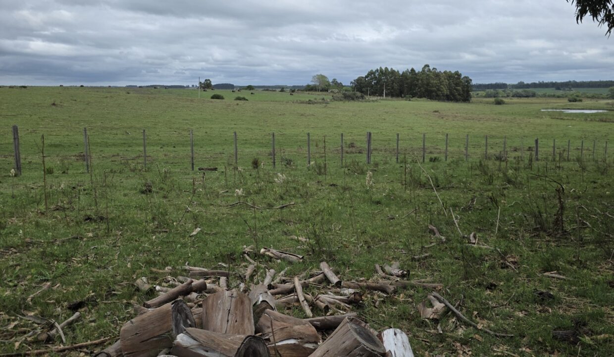 20260330_111602_resized