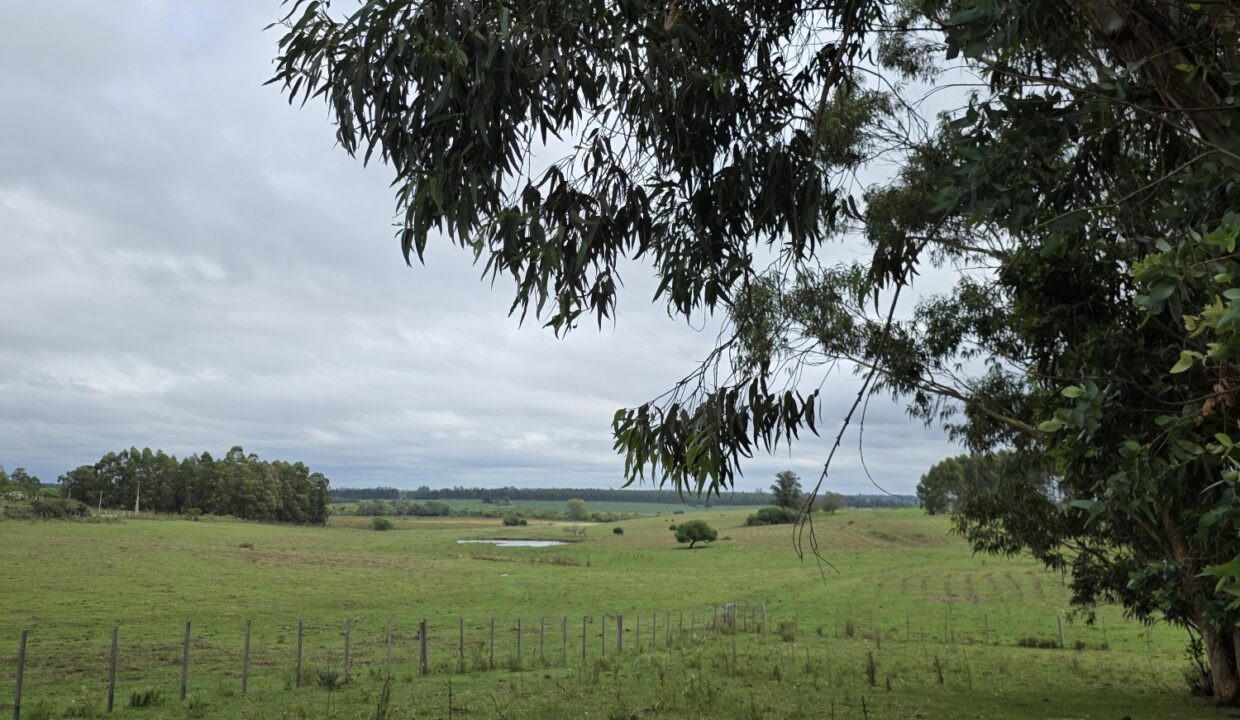 20260330_111613_resized