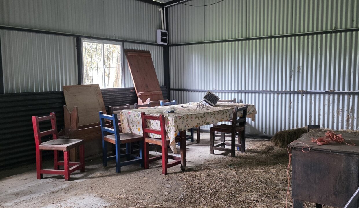 20260330_111955_resized