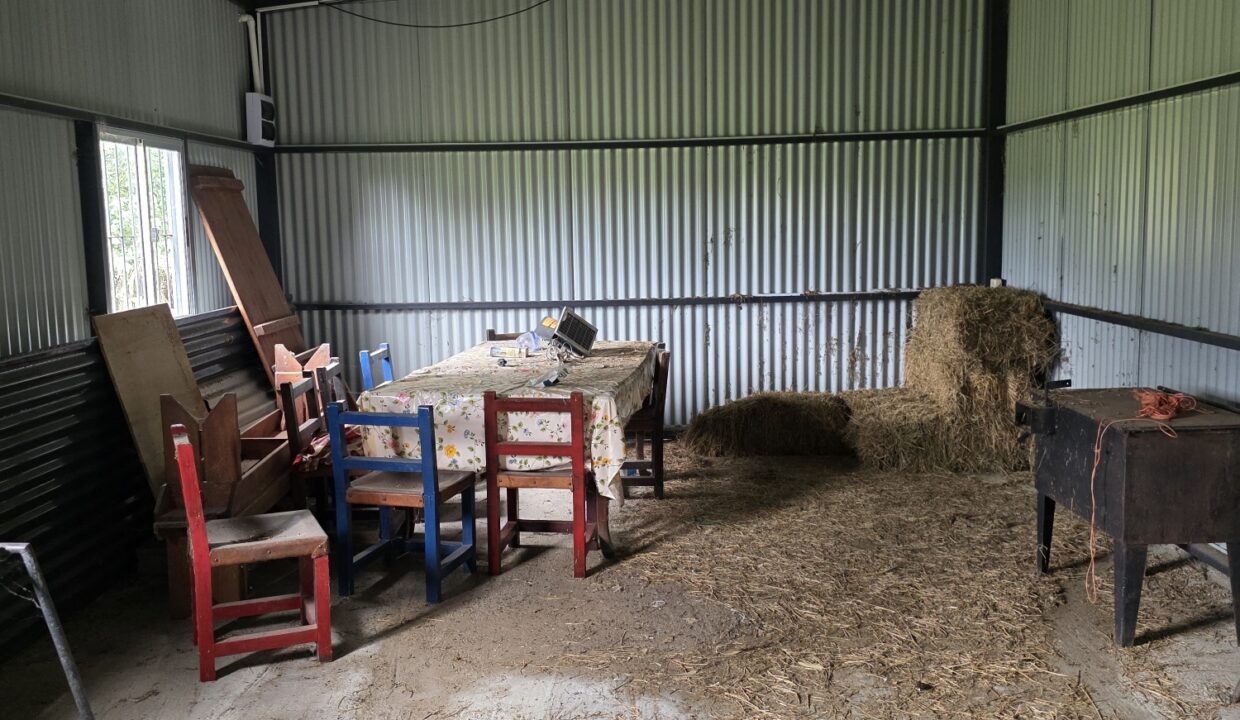 20260330_112023_resized