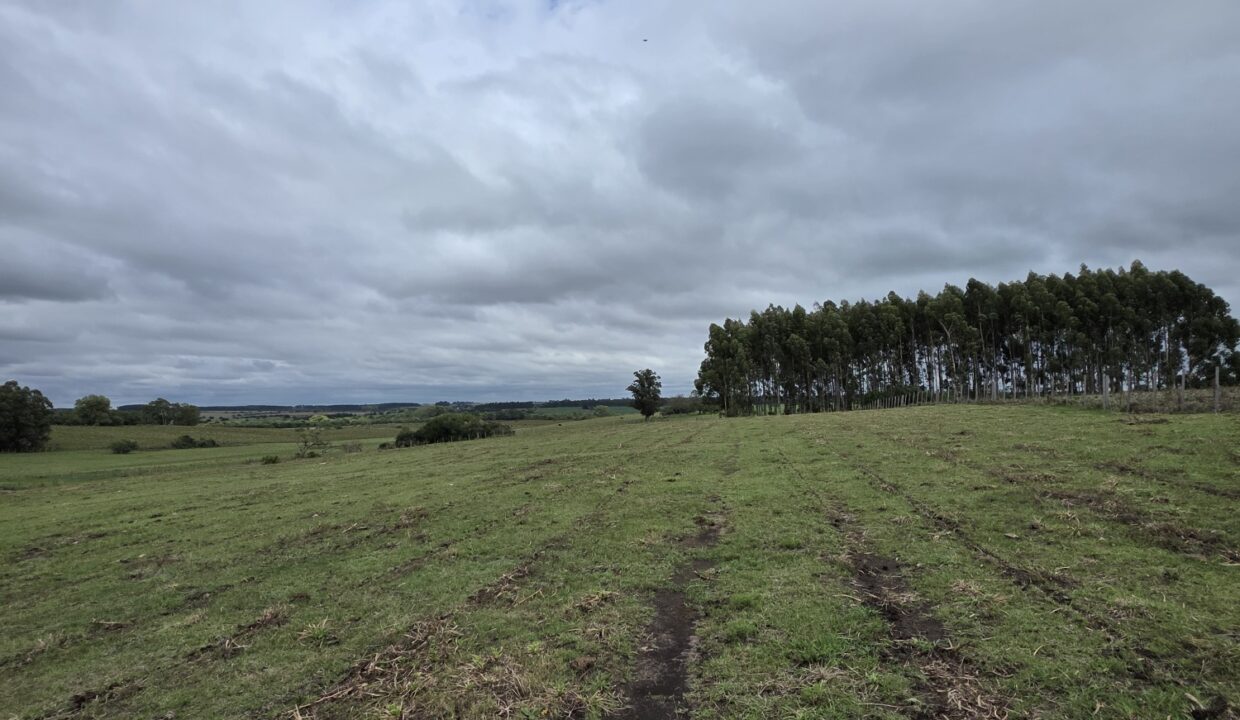 20260330_112437_resized