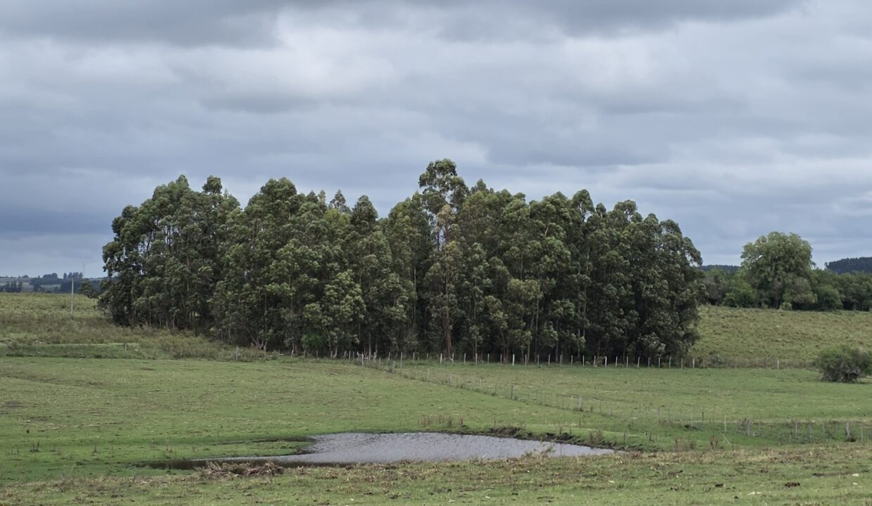 20260330_112522_resized