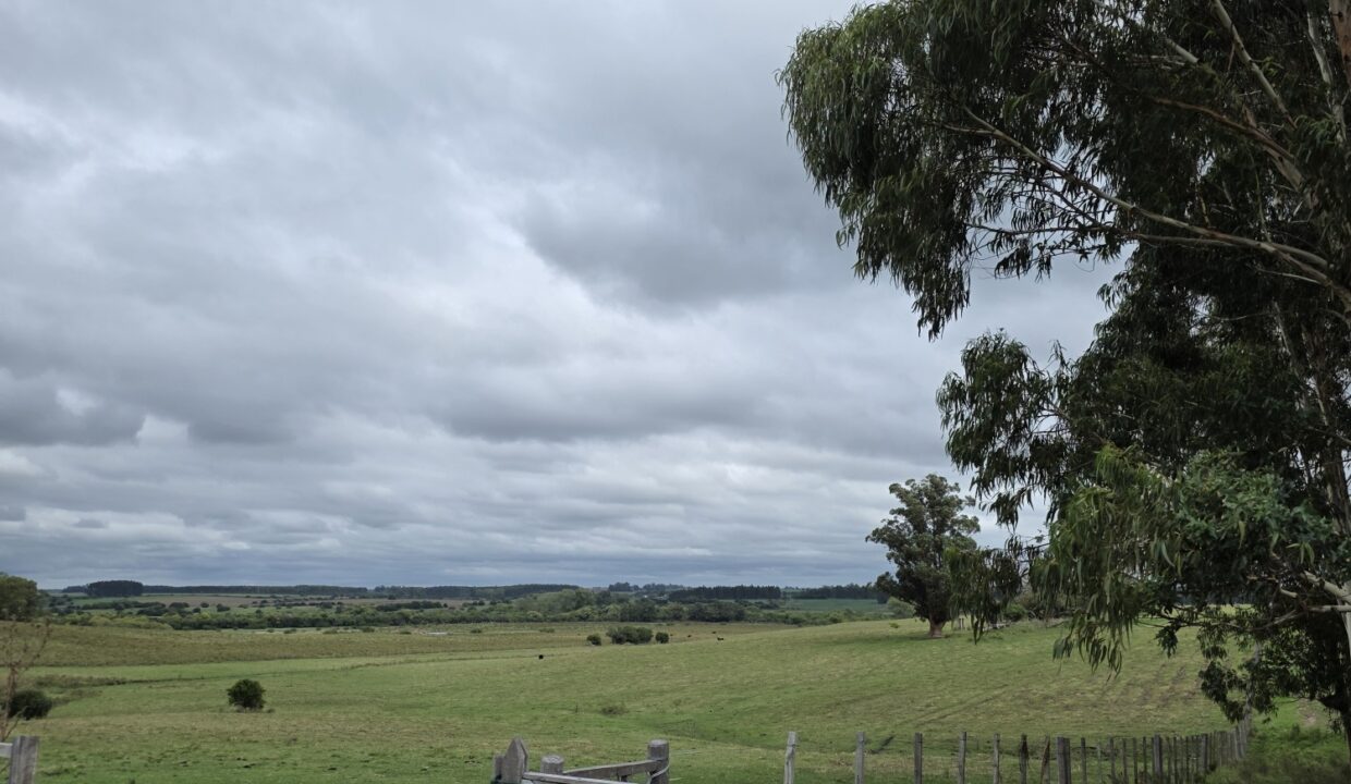 20260330_112711_resized