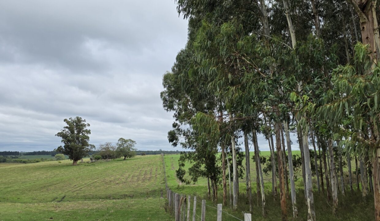 20260330_112738_resized