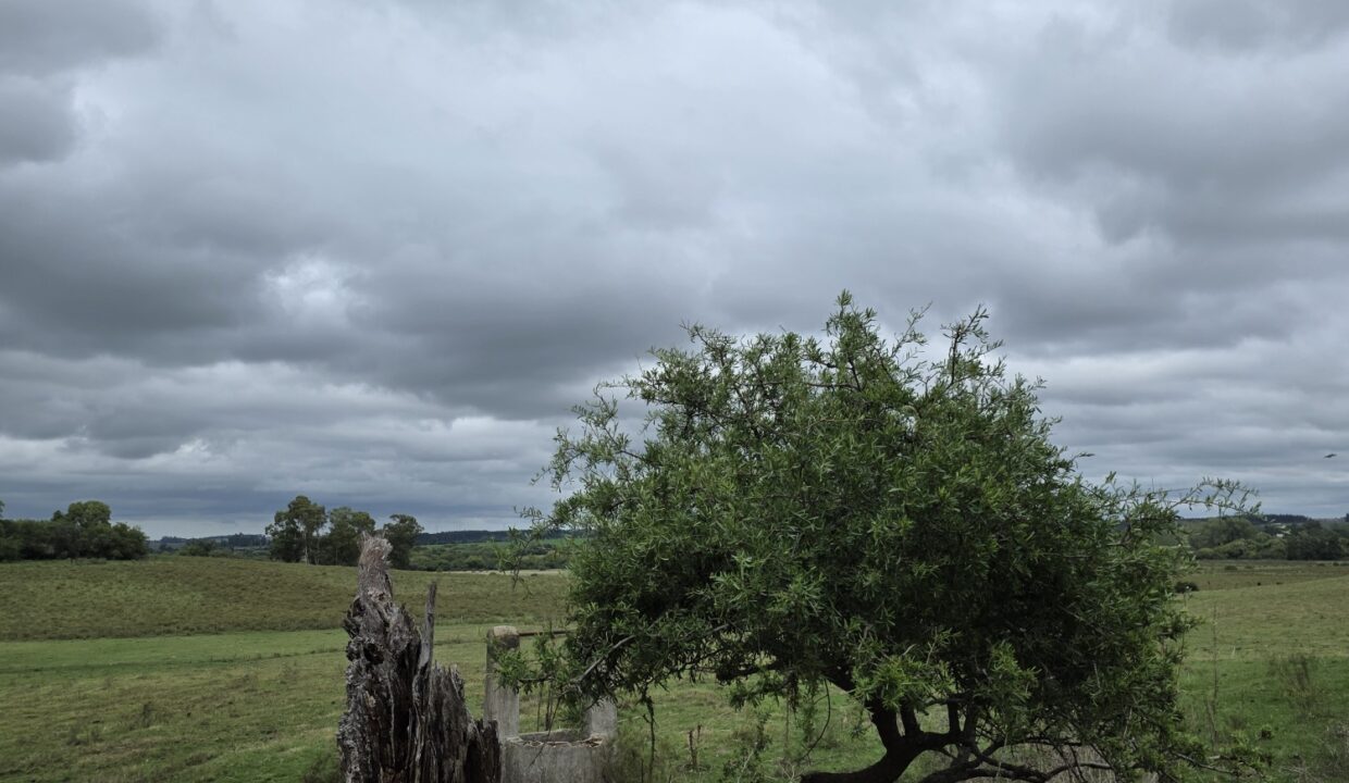 20260330_113616_resized