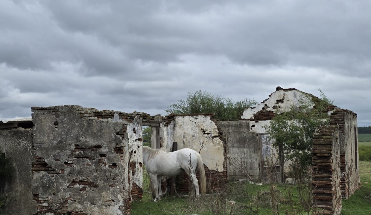 20260330_113817_resized