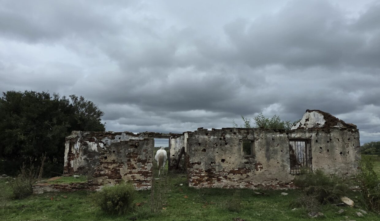 20260330_113855_resized