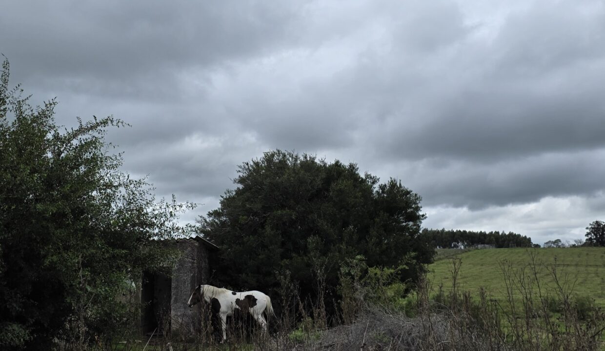 20260330_113932_resized