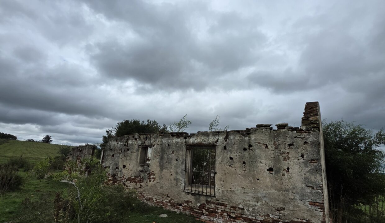 20260330_114008_resized