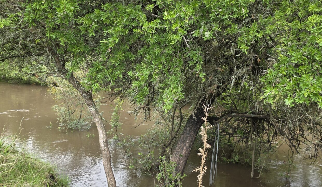 20260330_114303_resized