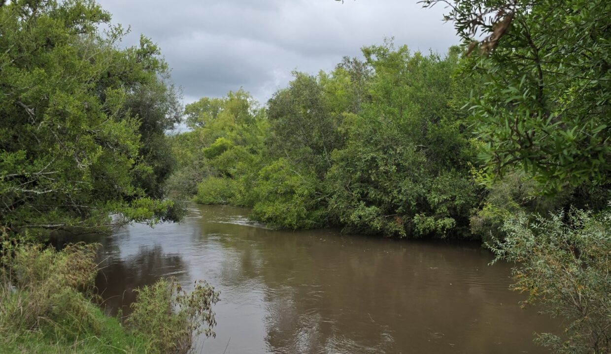 20260330_114309_resized