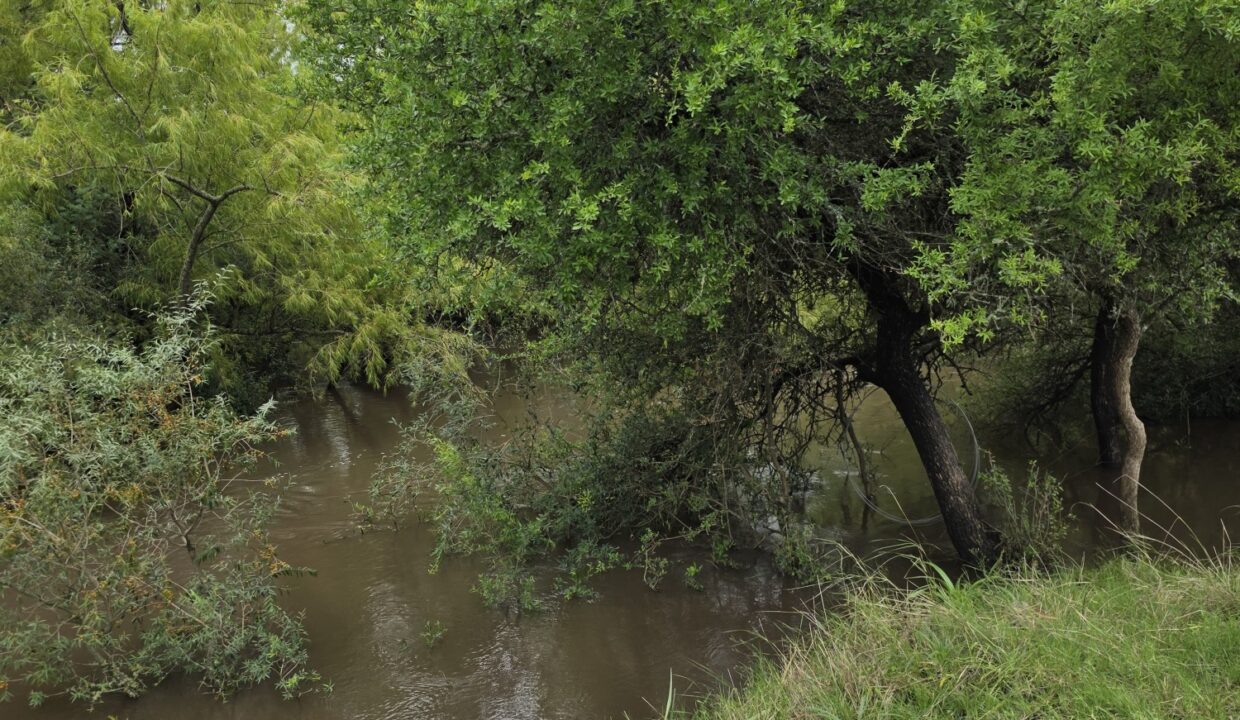 20260330_114319_resized